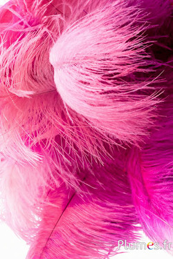 Strauss - 30-40 cm - pink-altrosa